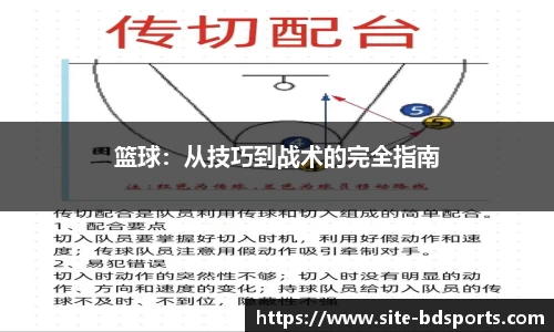 篮球：从技巧到战术的完全指南